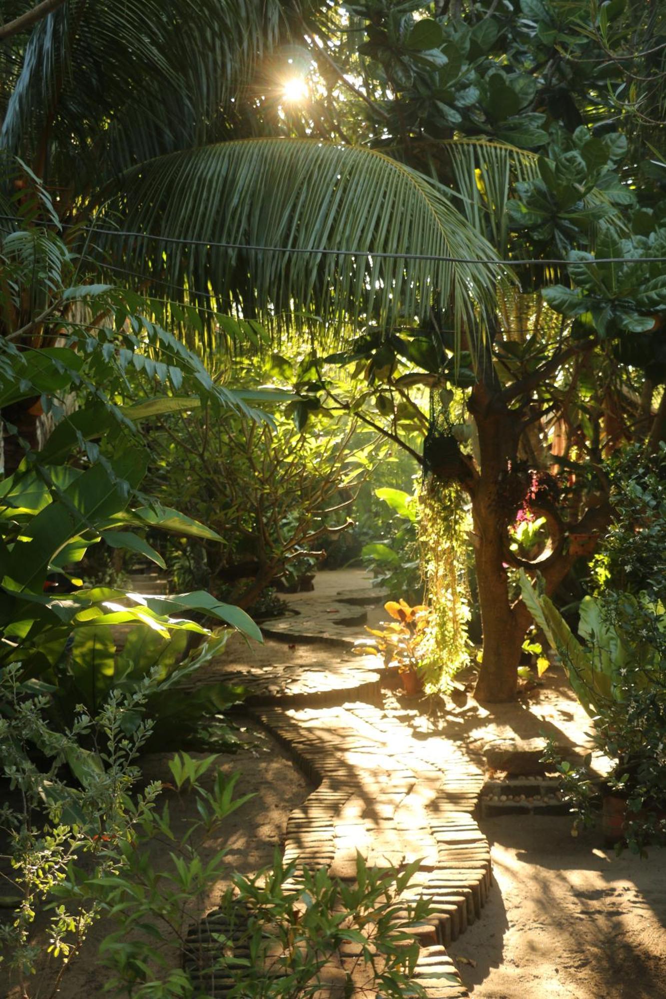Monsoon Eco Resort - Whisky Point Arugambay Потувил Екстериор снимка