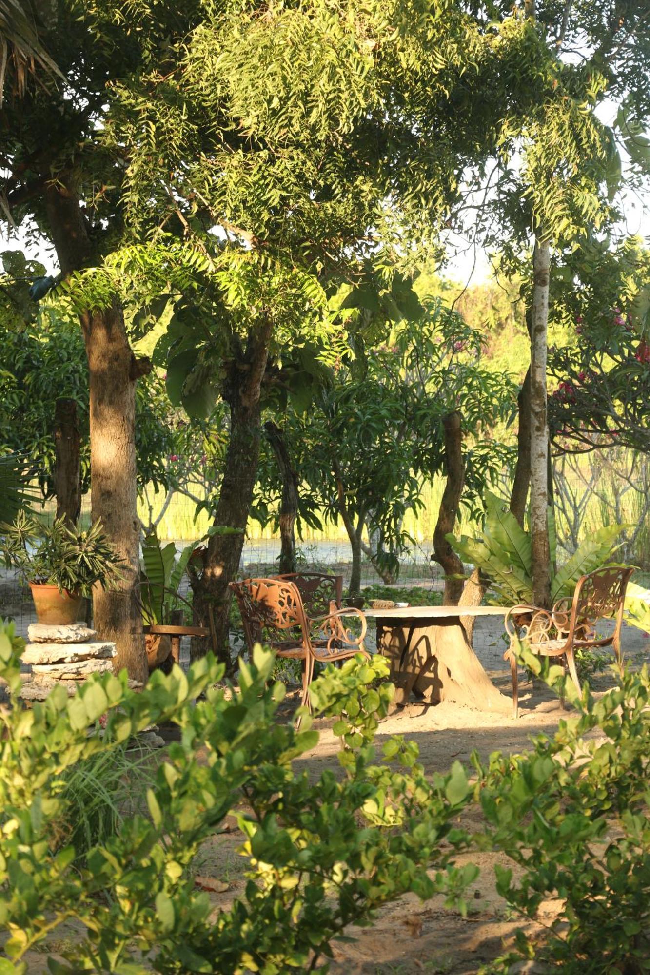 Monsoon Eco Resort - Whisky Point Arugambay Потувил Екстериор снимка