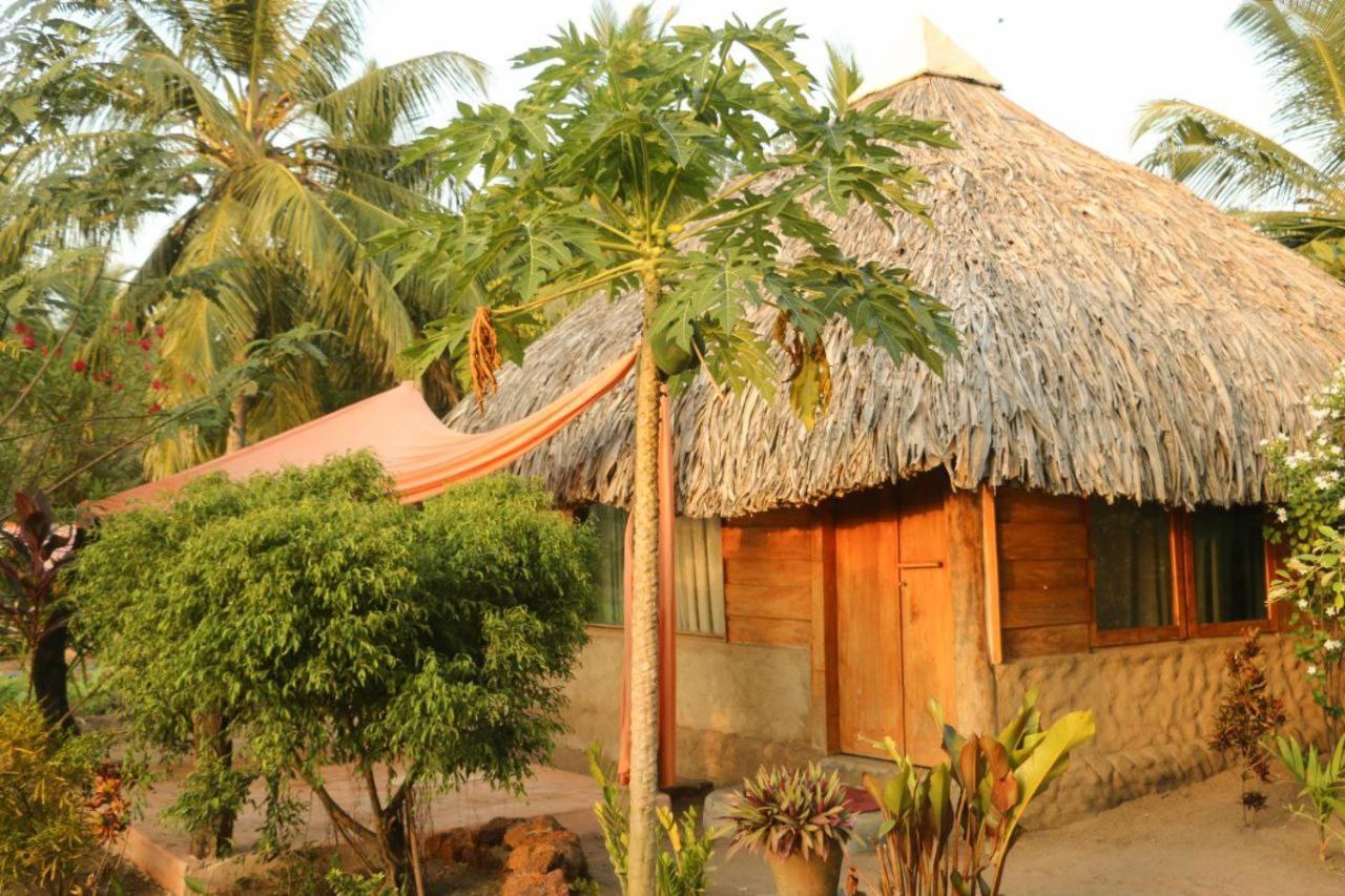 Monsoon Eco Resort - Whisky Point Arugambay Потувил Стая снимка